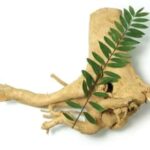 tongkat ali, benefits of tongkat ali, tongkat ali benefits