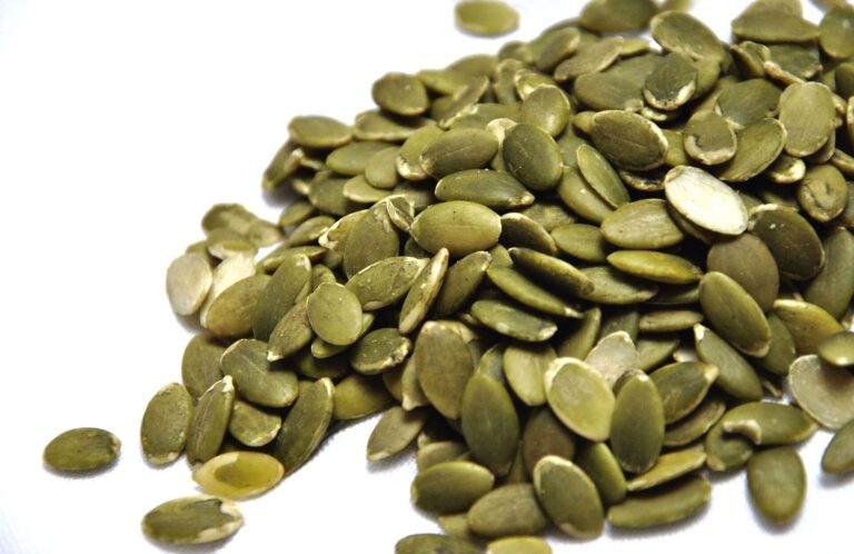 pumpkin seed, 南瓜子，南瓜子仁