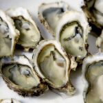 What is Oyster, Healthy Benefits of Oyster, Health Benefits of Oyster